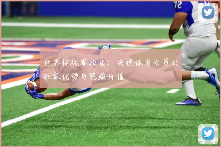 世界杯观赛指南：央视体育会员的独家优势与隐藏价值