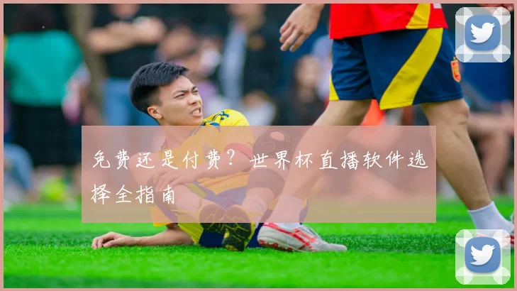 免费还是付费？世界杯直播软件选择全指南