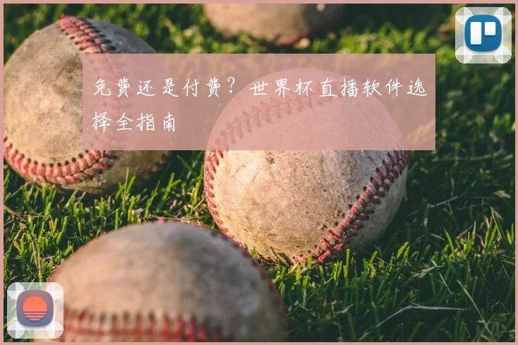 免费还是付费？世界杯直播软件选择全指南