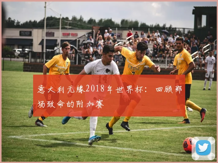 意大利无缘2018年世界杯：回顾那场致命的附加赛