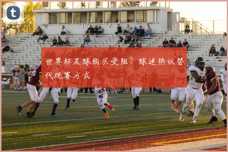 世界杯足球购买受阻？球迷热议替代观赛方式