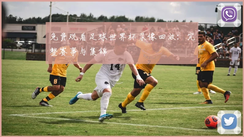 免费观看足球世界杯录像回放：完整赛事与集锦