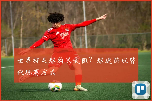 世界杯足球购买受阻？球迷热议替代观赛方式