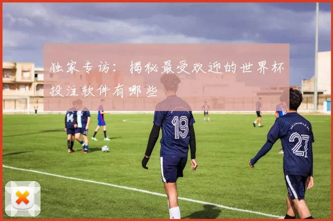 独家专访：揭秘最受欢迎的世界杯投注软件有哪些