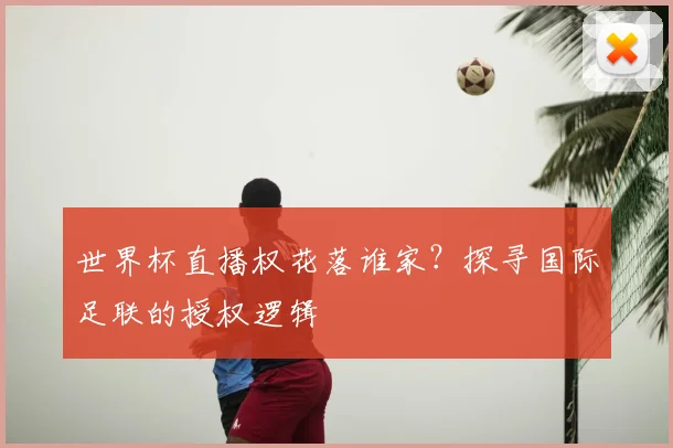 世界杯直播权花落谁家？探寻国际足联的授权逻辑