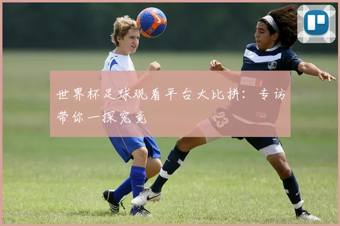 世界杯足球观看平台大比拼:专访带你一探究竟